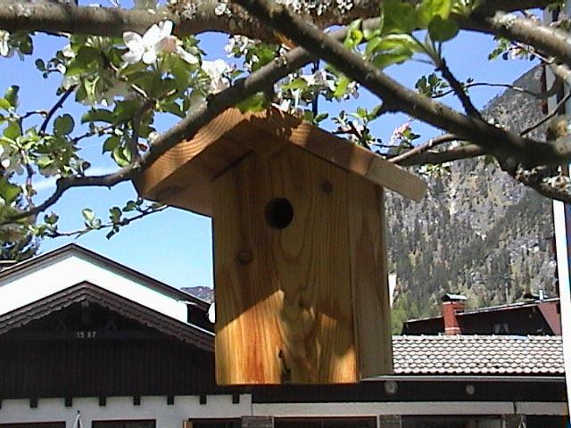 Apartamento Haus Waldfriede Pertisau Exterior foto
